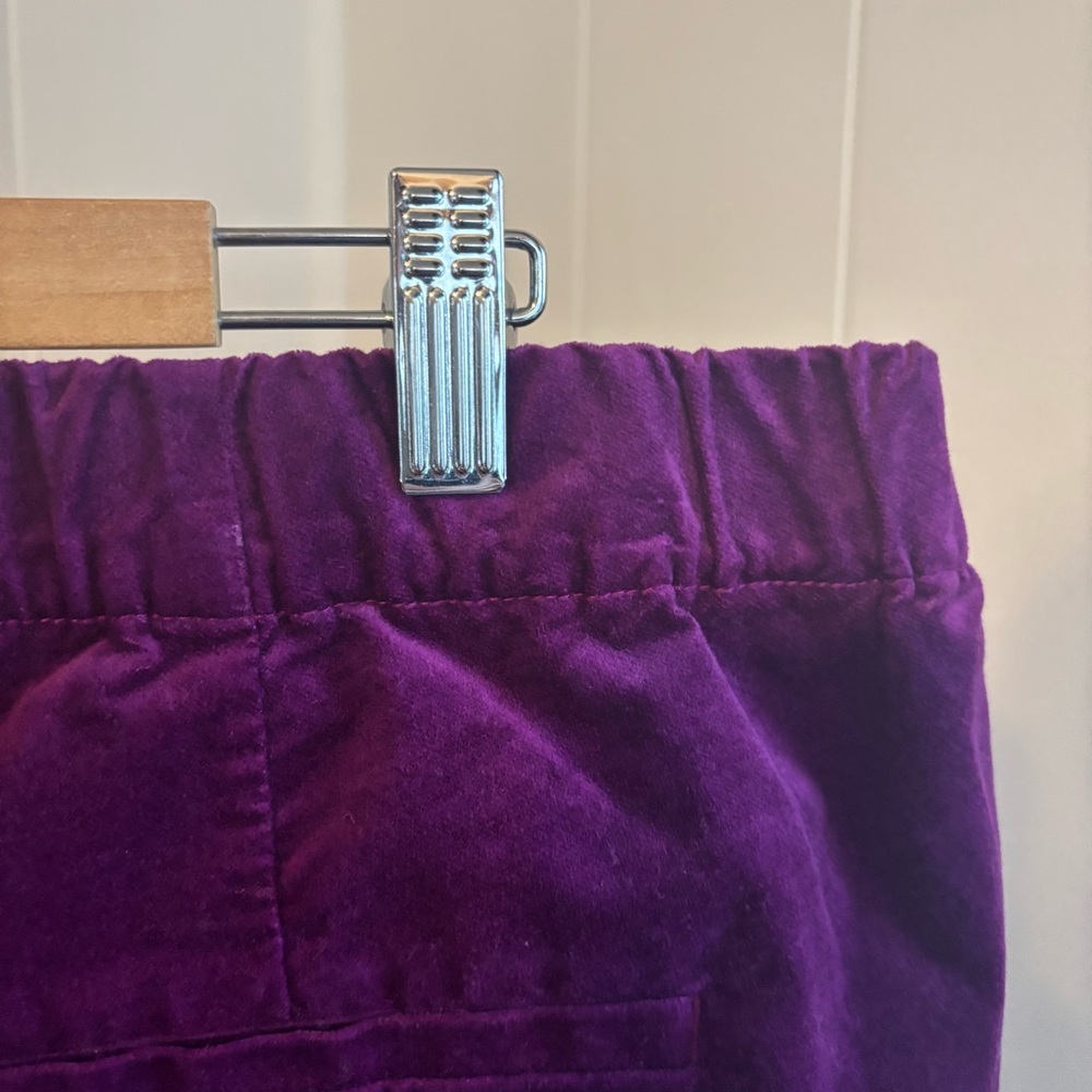 J Jill Velvet Pants Women's 20 Purple Straight Leg Side Zip Fairy Dressy 40x28